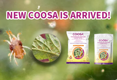 Ding-Dong! Your New COOSA® is Arrived!