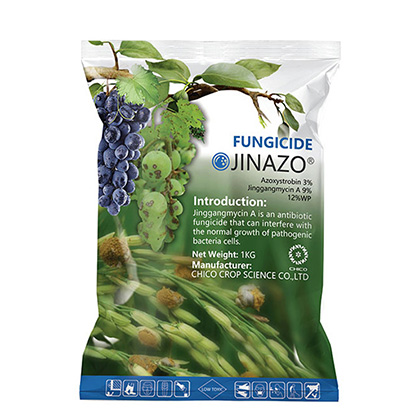 JINAZO® Azoxystrobin 3%+Jingangmycin A 9% 12% WP Fungicide