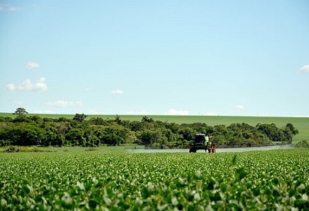 The Benefits and Risks of Agrochemicals in Agriculture