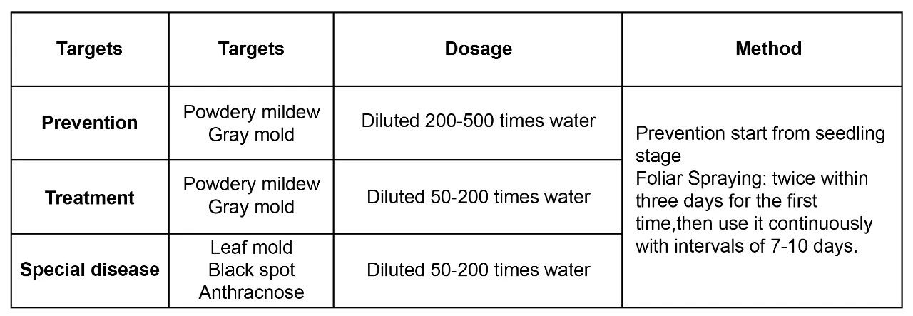 how-to-prevent-crop-disease-during-rainy-season-10.jpg