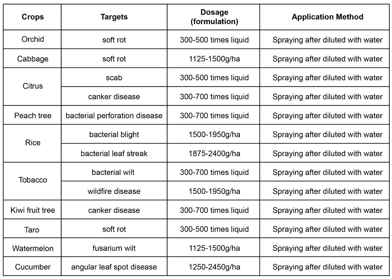 how-to-prevent-crop-disease-during-rainy-season-8.jpg