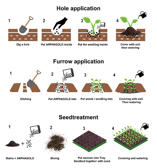 Arpha_Gold®_–_Utilizing_Beneficial_Fungi_for_Sustainable_Farming_03.jpg