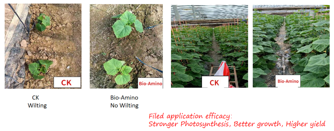 Check out CHICO Biological Products and Application Methods 12.png