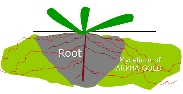 Check out CHICO Biological Products and Application Methods 5.png