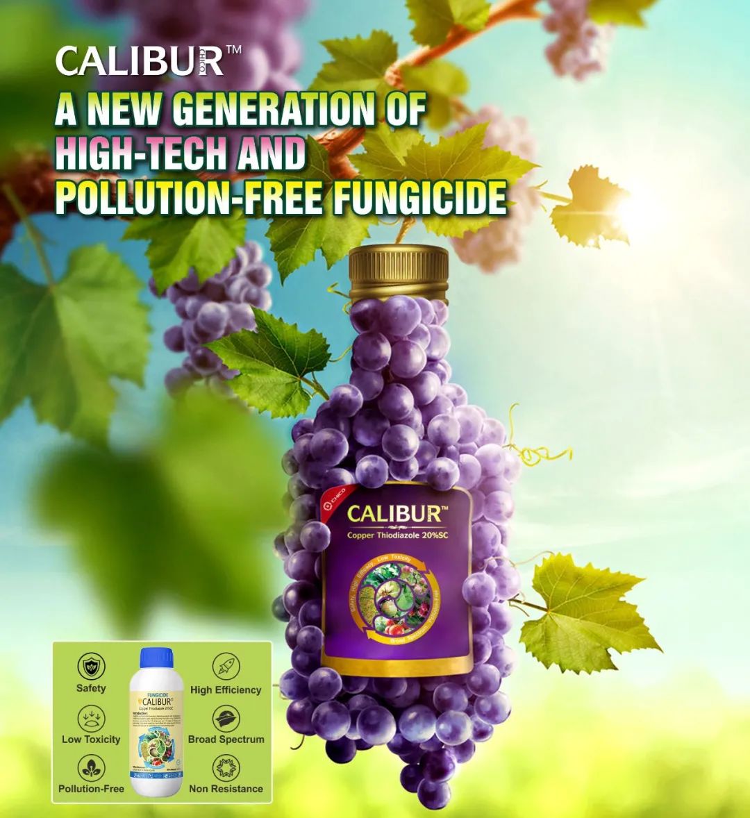 CALIBUR®_-_Special_Mechanism_to_Combat_Bacterial_Diseases_1.jpg