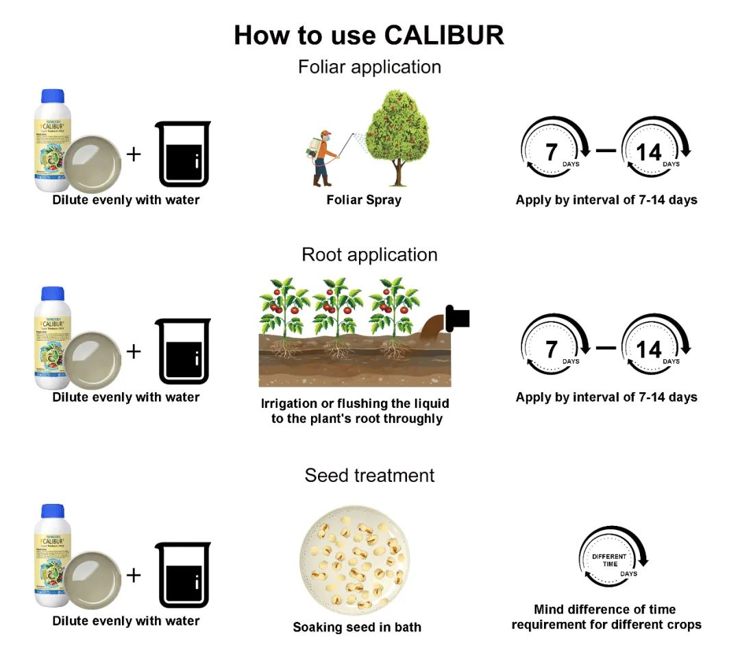 CALIBUR®_-_Special_Mechanism_to_Combat_Bacterial_Diseases_7.jpg