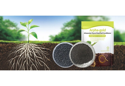 ARPHAGOLD® - Enhance root health & tolerance resistance of crops