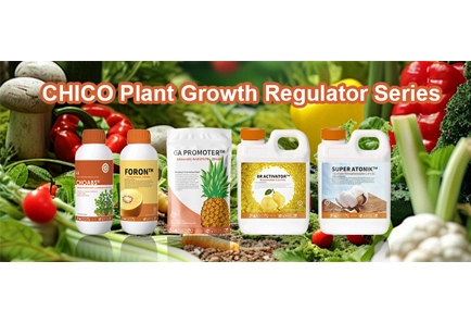 2024-1218 CHICO Plant Growth Regulator Series