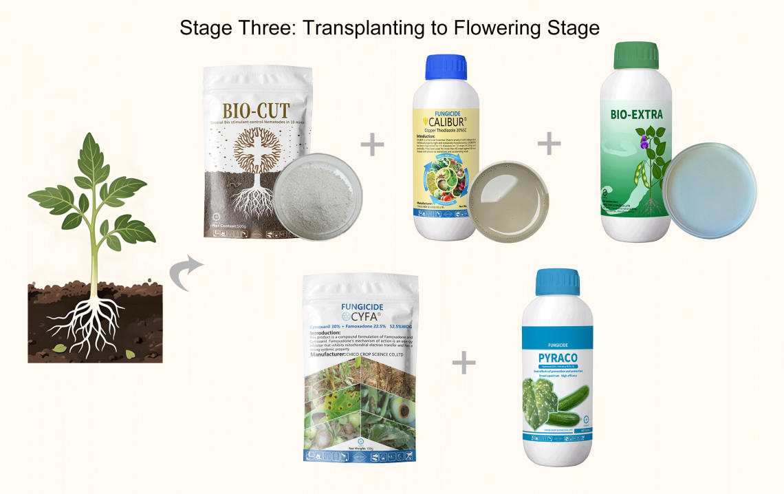 stage-three.jpg stage-three.jpg