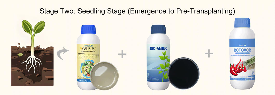 stage-two.jpg stage-two.jpg