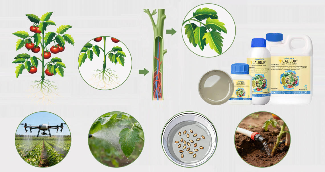 unique-advantages-and-mode-of-action-of-calibur.jpg unique-advantages-and-mode-of-action-of-calibur.jpg